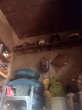 QRANSEXI online show from November 18, 2025, 9:03 am