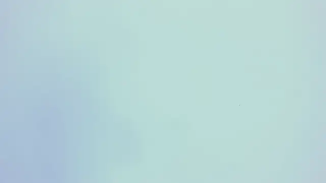 PariisTaylor online show from October 29, 2025, 7:48 pm