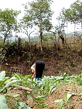 Snapshot of Noelle-e chatting on April 7, 2026, 10:26 am Noelle-e online show from April 7, 2026, 10:26 am