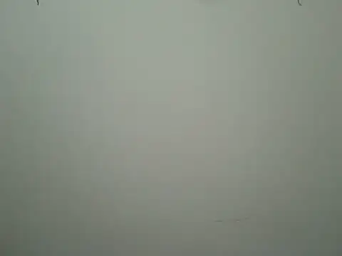 Snapshot of beadfeizi chatting on October 31, 2025, 4:08 pm beadfeizi online show from October 31, 2025, 4:08 pm