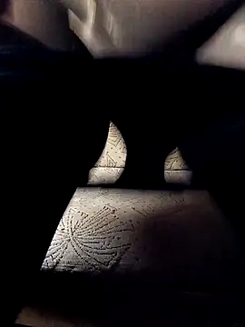 Snapshot of NyushaM chatting on October 27, 2025, 8:40 am NyushaM online show from October 27, 2025, 8:40 am