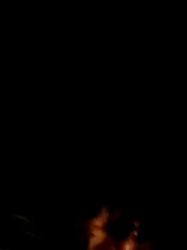 bella-la online show from November 20, 2025, 9:03 pm