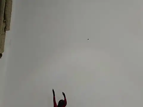 EmmilyConnor online show from February 25, 2026, 1:43 pm