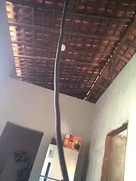 Snapshot of Ralf2011 chatting on December 4, 2025, 5:54 pm Ralf2011 online show from December 4, 2025, 5:54 pm