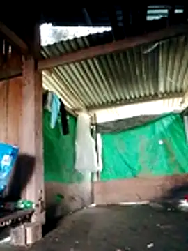 Olivia pusy online show from November 3, 2025, 2:13 am