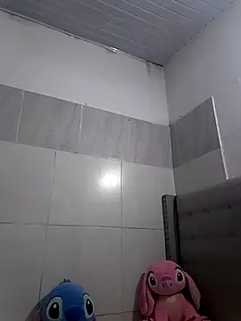 Snapshot of Hairy_ptt chatting on May 15, 2026, 3:52 pm Hairy ptt online show from May 15, 2026, 3:52 pm