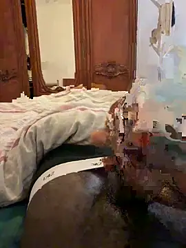 Snapshot of beaucouphethf chatting on February 13, 2026, 11:56 pm beaucouphethf online show from February 13, 2026, 11:56 pm