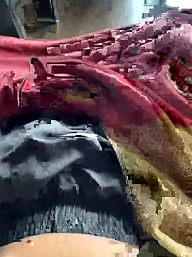 ankitmishra0527 online show from November 1, 2025, 11:45 am