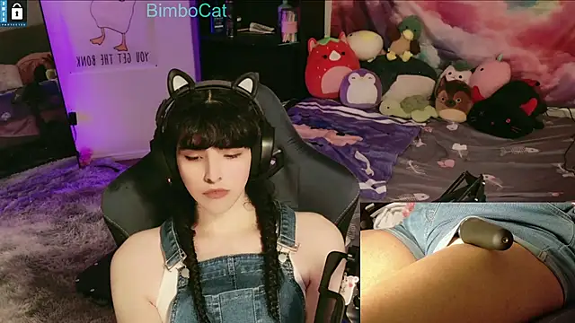 BimboCat online show from December 14, 2025, 1:11 am