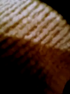 pino870 online show from February 17, 2026, 4:24 pm