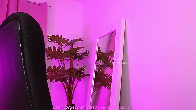 BabyLauritaa online show from March 21, 2026, 11:08 pm