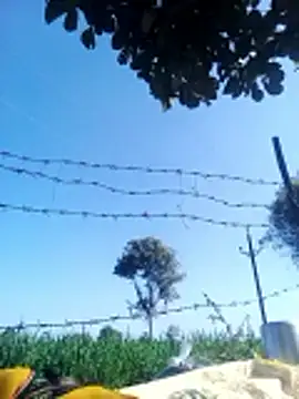 Sangita k online show from December 20, 2025, 5:36 am