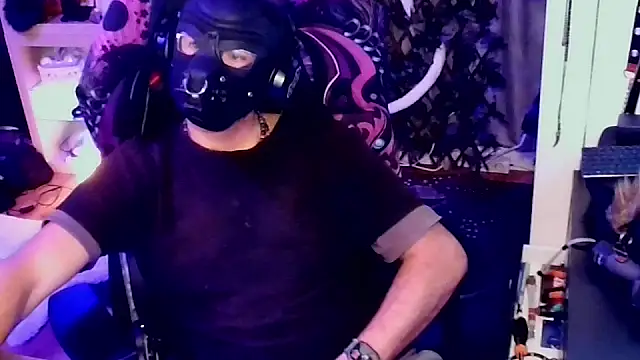 JoyboyBear online show from May 13, 2026, 2:09 am