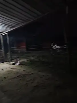 taylor1991V online show from December 1, 2025, 11:43 pm