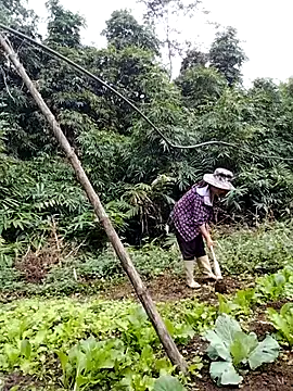 Snapshot of be-yeu chatting on November 5, 2025, 2:22 am be-yeu online show from November 5, 2025, 2:22 am