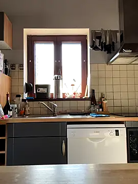 slt29 online show from November 5, 2025, 11:54 am