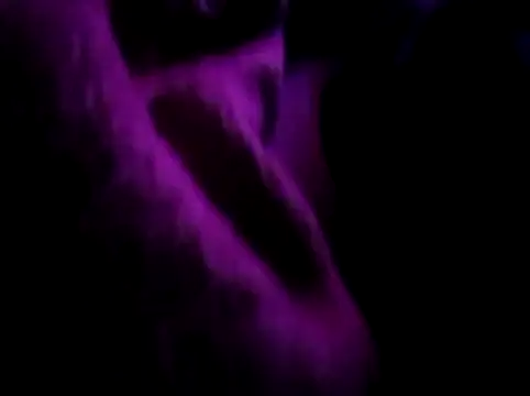 akram306 online show from November 14, 2025, 11:24 pm