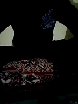 akram306 online show from March 27, 2026, 8:08 pm