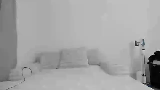 Snapshot of zaylanez chatting on November 8, 2025, 6:35 am zaylanez online show from November 8, 2025, 6:35 am