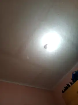 ey66gfdwwt online show from November 15, 2025, 9:32 pm