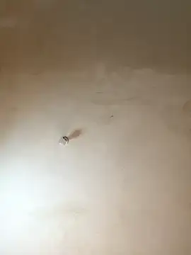 NiaLong21  online show from January 17, 2026, 9:58 am