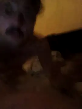 putosemlimiti online show from November 8, 2025, 11:58 pm