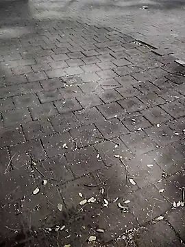 Javierba18301bak online show from January 9, 2026, 9:23 am