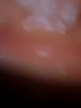 Nisha Hindi online show from November 25, 2025, 7:08 am