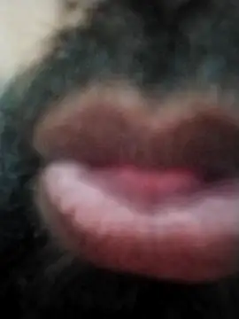 hyderabad single online show from November 24, 2025, 12:38 pm