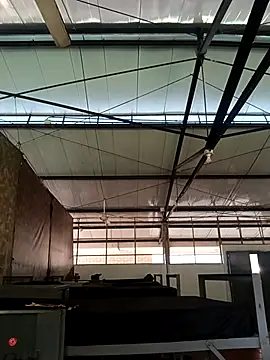 MonasticCanine online show from November 26, 2025, 11:33 am