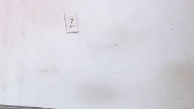 antonela-cris online show from December 20, 2025, 4:47 pm