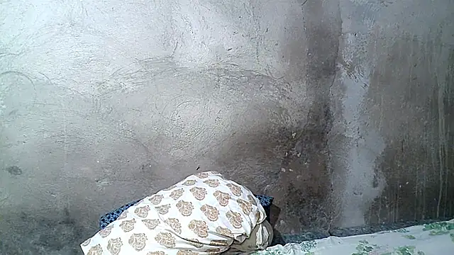 xwindyxxx online show from February 19, 2026, 6:42 am