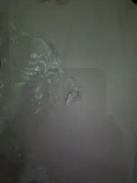 dalou3a22 online show from December 20, 2025, 12:18 am