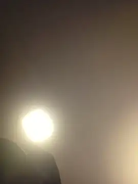 piggylatino online show from March 19, 2026, 10:19 am