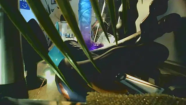 Snapshot of jibe13@xh chatting on July 2, 2026, 9:32 pm jibe13xh online show from July 2, 2026, 9:32 pm