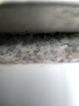 Rique00k online show from November 15, 2025, 4:36 pm