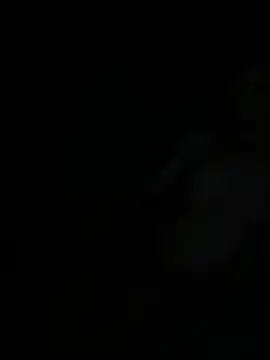 oIAcyber online show from April 30, 2026, 10:03 pm