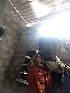 La44 telugu3 online show from November 16, 2025, 9:48 am