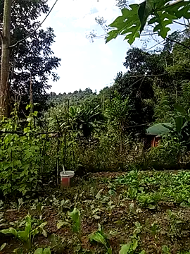 Rose-rose1234 online show from November 21, 2025, 8:02 am