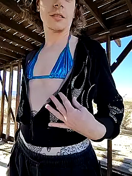 dragonlock online show from November 29, 2025, 6:55 pm