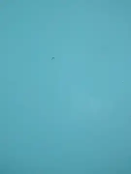 braidqueen00 online show from February 15, 2026, 12:18 am