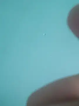 braidqueen00 online show from February 19, 2026, 7:54 pm