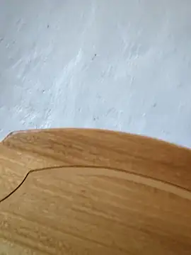 braidqueen00 online show from February 22, 2026, 5:00 pm