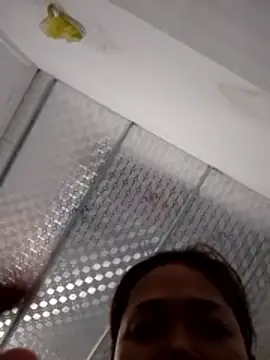 Snapshot of PamPii2x chatting on February 28, 2026, 2:56 am PamPii2x online show from February 28, 2026, 2:56 am