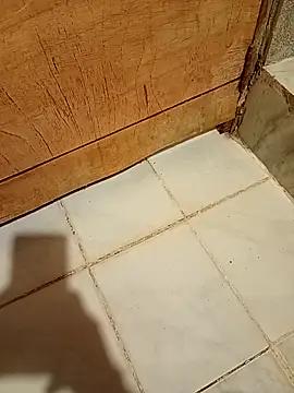 MLis27664xh online show from March 2, 2026, 7:21 pm