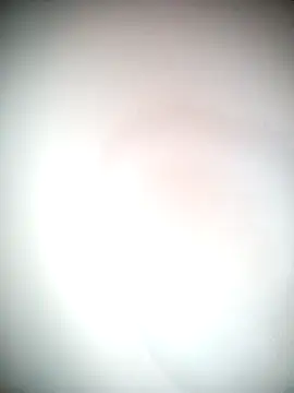 Ariana101 online show from November 24, 2025, 12:05 pm