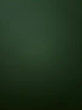 Spring-spring online show from December 1, 2025, 12:54 pm