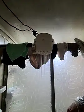 Venus 22 online show from November 29, 2025, 5:05 pm