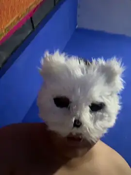 aricub online show from December 16, 2025, 12:59 am