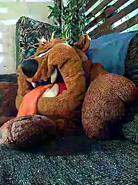 Pirulaibe23 online show from December 18, 2025, 7:20 pm